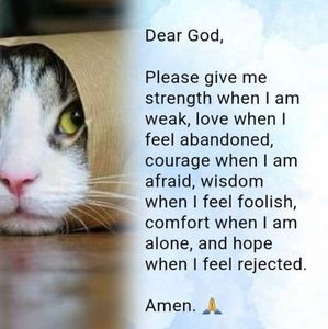 Meet your Posher, Joan coffman